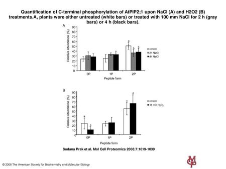 Quantification of C-terminal phosphorylation of AtPIP2;1 upon NaCl (A) and H2O2 (B) treatments.A, plants were either untreated (white bars) or treated.