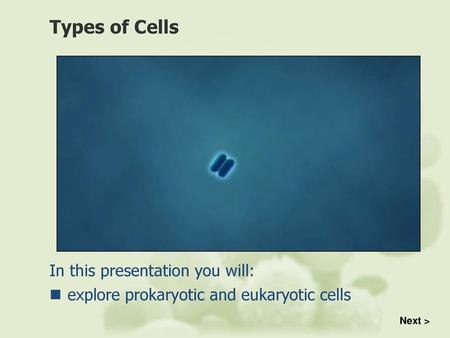 Types of Cells In this presentation you will: