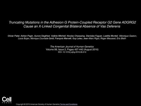 Truncating Mutations in the Adhesion G Protein-Coupled Receptor G2 Gene ADGRG2 Cause an X-Linked Congenital Bilateral Absence of Vas Deferens  Olivier.