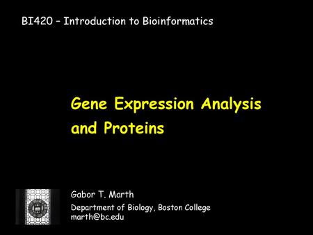 Gene Expression Analysis and Proteins