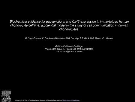 Biochemical evidence for gap junctions and Cx43 expression in immortalized human chondrocyte cell line: a potential model in the study of cell communication.