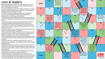 Ants & ladders Finish 63 62 little fire ants hiding in undeclared fruit. $50 fine 61 60 59 58 57 49 50 51 52 53 too many little fire ants. You lose your.