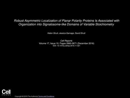 Robust Asymmetric Localization of Planar Polarity Proteins Is Associated with Organization into Signalosome-like Domains of Variable Stoichiometry  Helen.