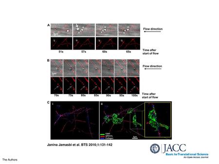 Janina Jamasbi et al. BTS 2016;1: