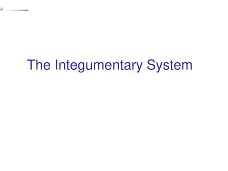 The Integumentary System