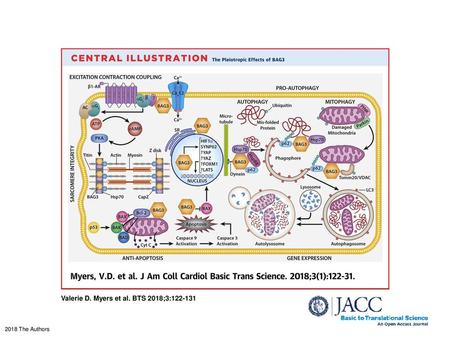 Valerie D. Myers et al. BTS 2018;3: