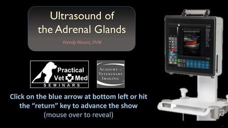 Ultrasound of the Adrenal Glands