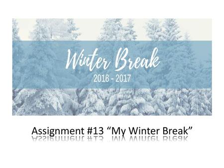 Assignment #13 “My Winter Break”