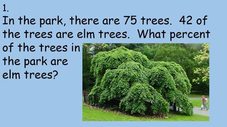 1. In the park, there are 75 trees. 42 of the trees are elm trees. What percent of the trees in the park are elm trees?