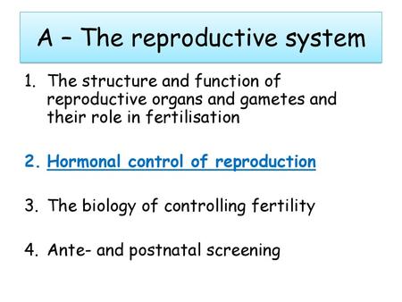 A – The reproductive system