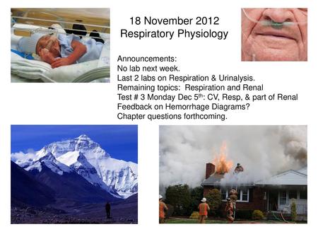 18 November 2012 Respiratory Physiology