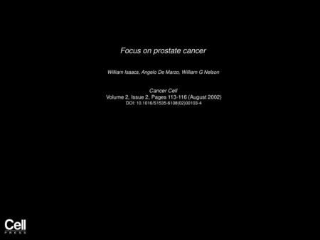 Focus on prostate cancer