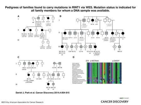 Pedigrees of families found to carry mutations in RINT1 via WES