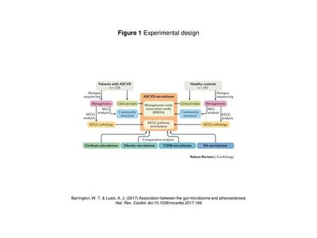 Figure 1 Experimental design