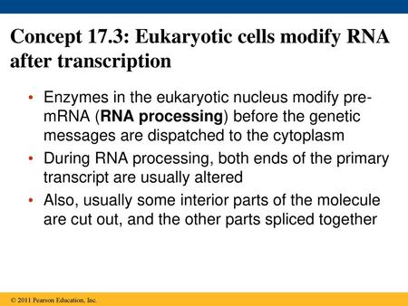 Concept 17.3: Eukaryotic cells modify RNA after transcription