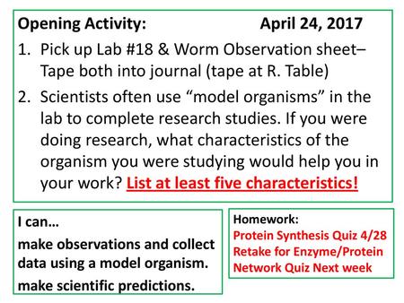 Opening Activity: April 24, 2017