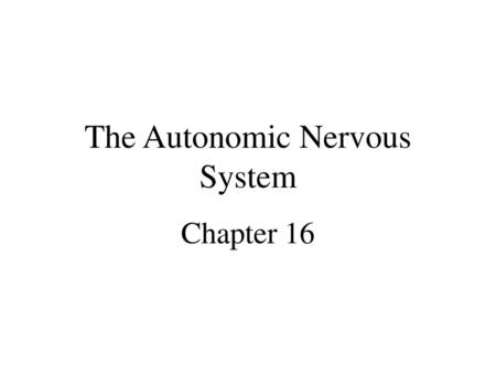 The Autonomic Nervous System