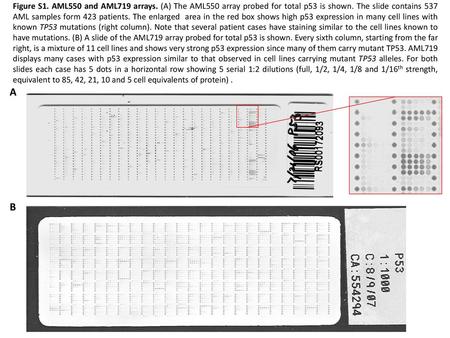 Figure S1. AML550 and AML719 arrays