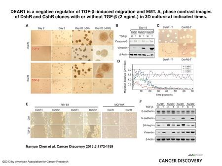 DEAR1 is a negative regulator of TGF-β–induced migration and EMT