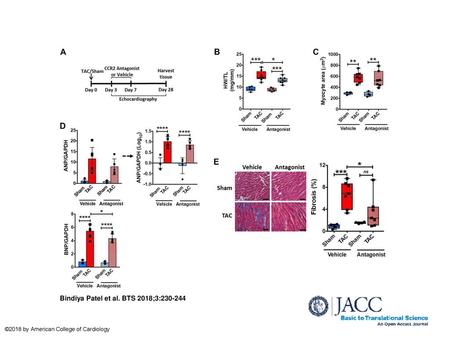 Bindiya Patel et al. BTS 2018;3: