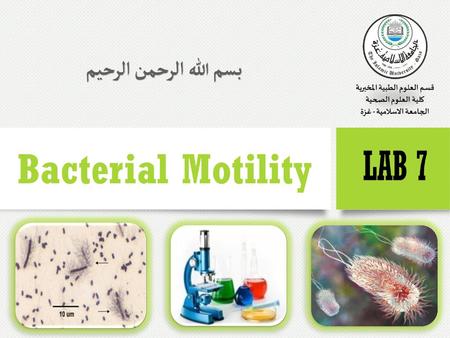 Bacterial Motility The ability of an organism to move by itself is called motility. Motility is closely linked with chemotaxis, the ability to orientate.