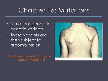 Mutations + Recombination = Genetic Variation!!