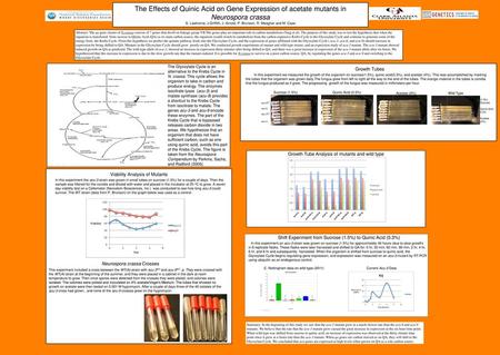 The Effects of Quinic Acid on Gene Expression of acetate mutants in Neurospora crassa S. Lawhorne, J.Griffith, J. Arnold, P. Brunson, R. Meagher and M.