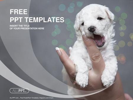 FREE PPT TEMPLATES INSERT THE TITLE OF YOUR PRESENTATION HERE