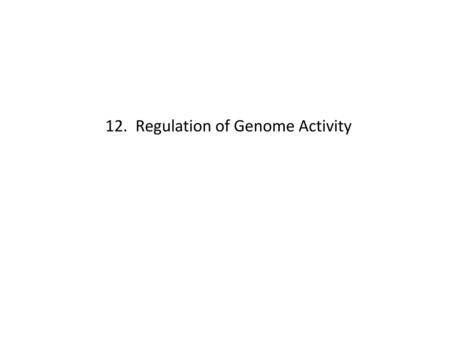 12. Regulation of Genome Activity