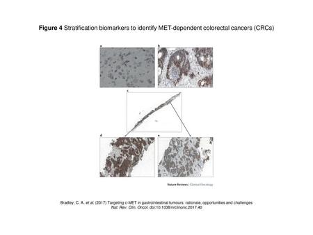 Nat. Rev. Clin. Oncol. doi: /nrclinonc