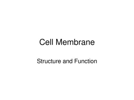 Structure and Function