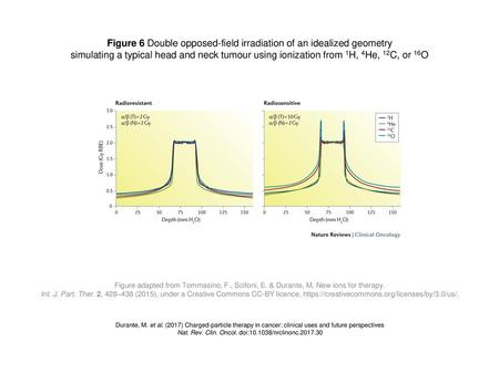 Figure 6 Double opposed-field irradiation of an idealized geometry