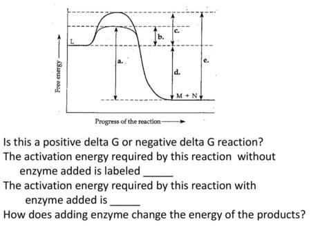 Is this a positive delta G or negative delta G reaction?