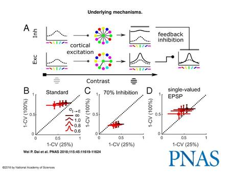 Underlying mechanisms.