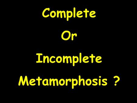 Complete Or Incomplete Metamorphosis ?.