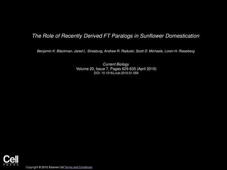 The Role of Recently Derived FT Paralogs in Sunflower Domestication