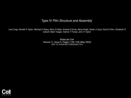 Type IV Pilin Structure and Assembly