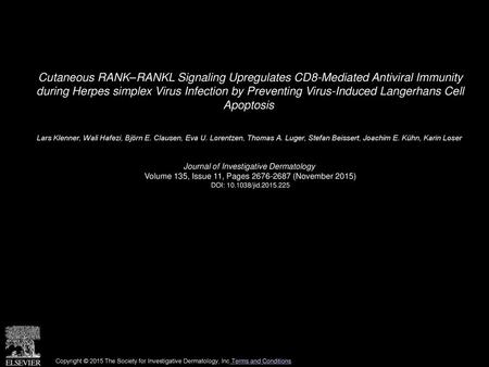 Cutaneous RANK–RANKL Signaling Upregulates CD8-Mediated Antiviral Immunity during Herpes simplex Virus Infection by Preventing Virus-Induced Langerhans.