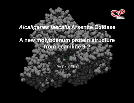 Alcaligenes faecalis Arsenite Oxidase A new molybdenum protein structure from beamline 9-2 By Paul Ellis.