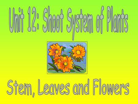 Unit 12: Shoot System of Plants