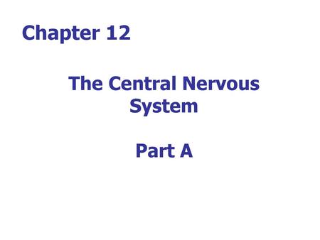 The Central Nervous System Part A