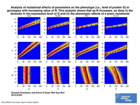 Analysis of mutational effects of parameters on the phenotype (i. e