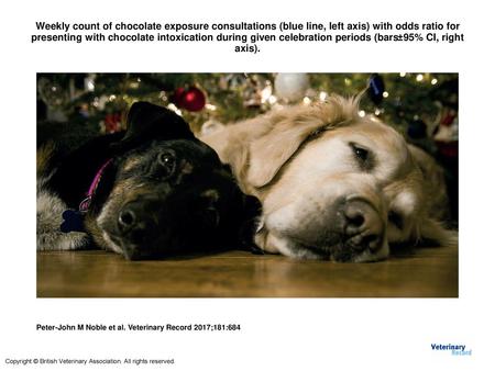 Weekly count of chocolate exposure consultations (blue line, left axis) with odds ratio for presenting with chocolate intoxication during given celebration.
