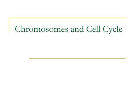 Chromosomes and Cell Cycle