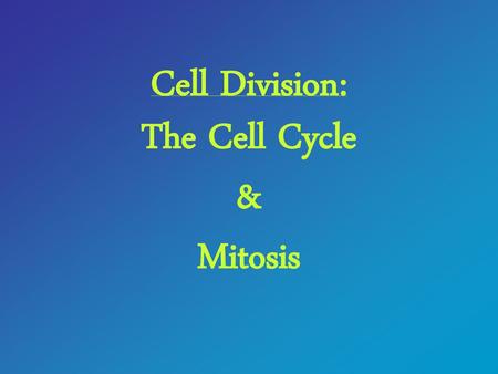 Cell Division: The Cell Cycle & Mitosis