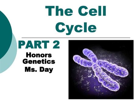 PART 2 Honors Genetics Ms. Day