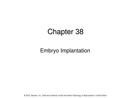 Chapter 38 Embryo Implantation