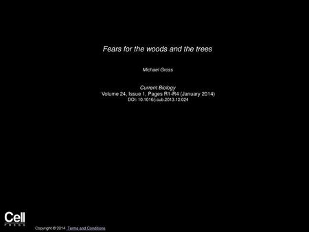 Fears for the woods and the trees