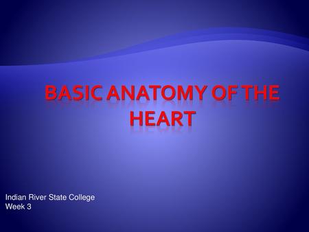 Basic anatomy of the heart