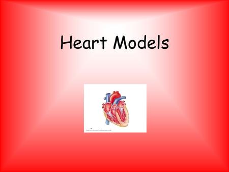 Heart Models.